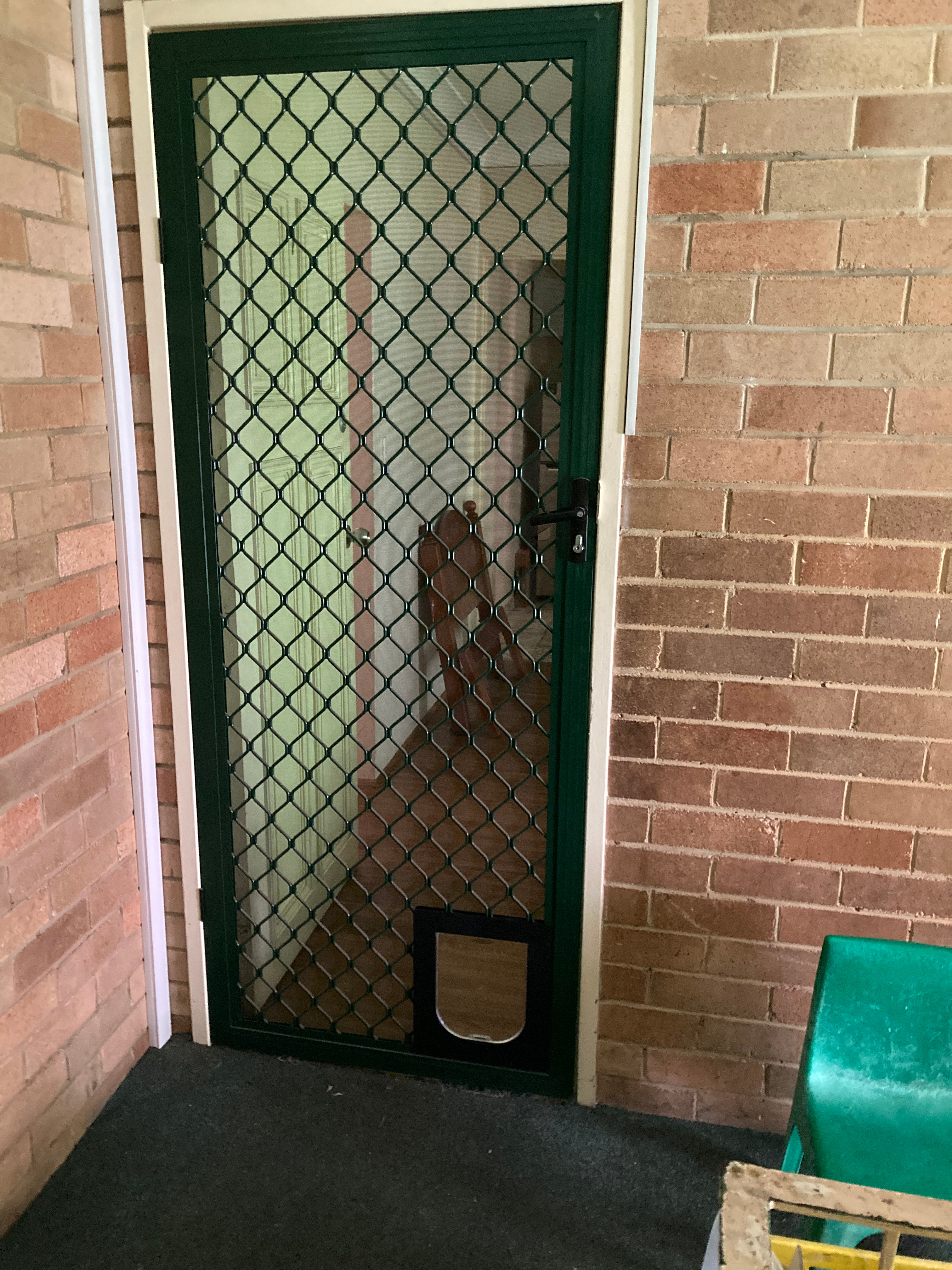 Discover the perfect solution for cat door installations in screens. Our expert technicians are skilled in integrating cat doors into screen doors and windows, allowing your furry friends to come and go as they please while keeping insects and pests out.