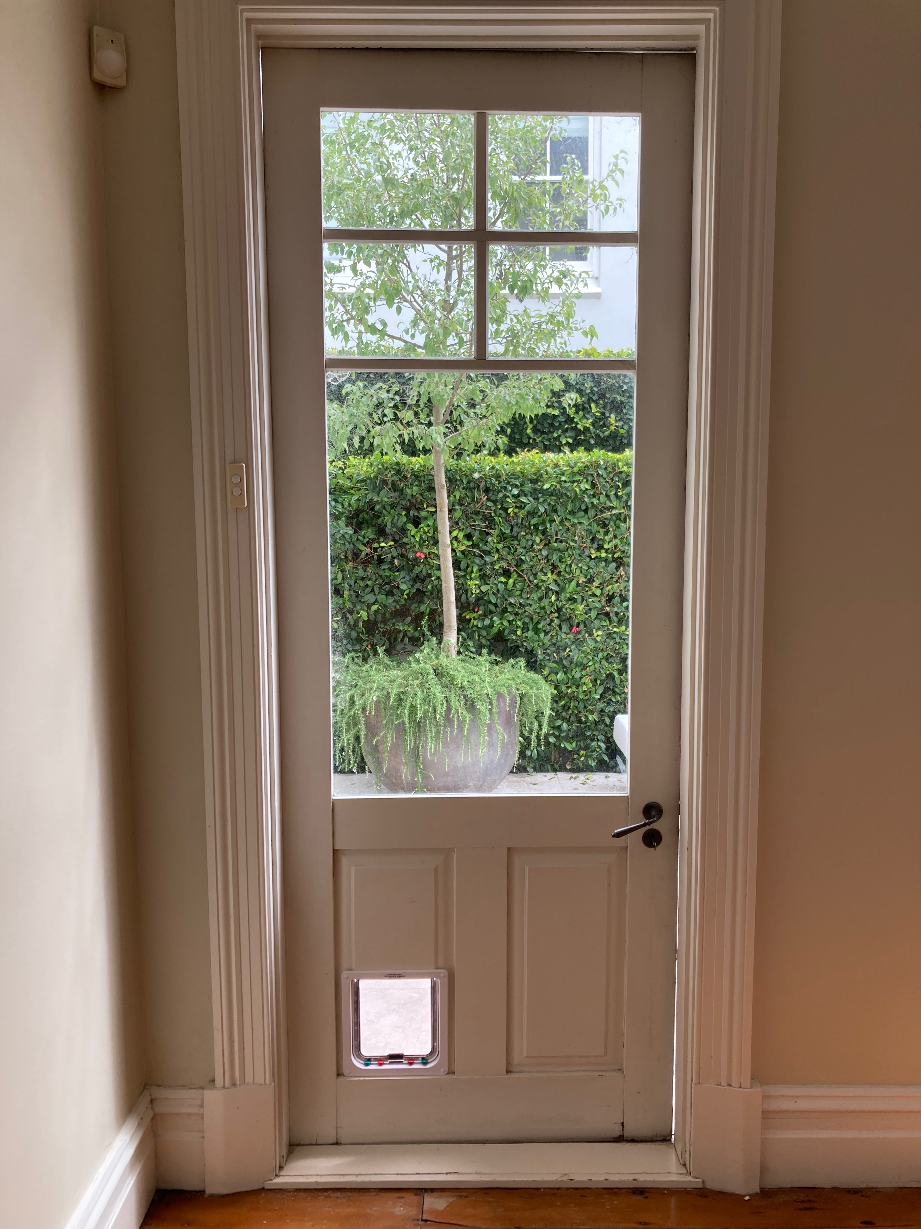Enhance your feline friend's access to the outdoors with our cat door installation service in timber. We specialise in seamlessly integrating cat doors into timber surfaces, providing a convenient entry point for your cat while maintaining the aesthetic appeal of your home.