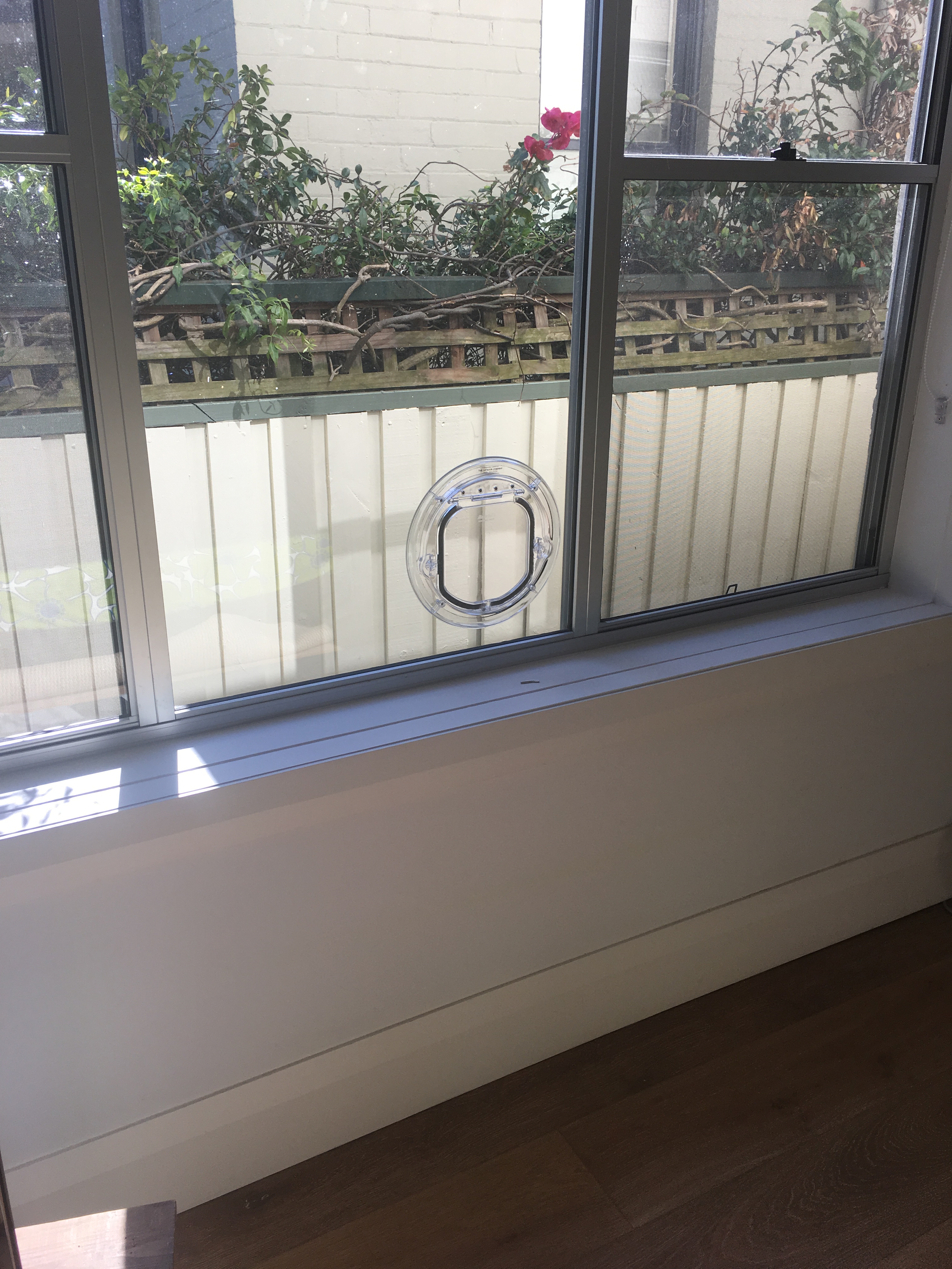 We specialise in installing cat doors in glass. With our expertise, we ensure seamless integration while maintaining the integrity of your glass surfaces.