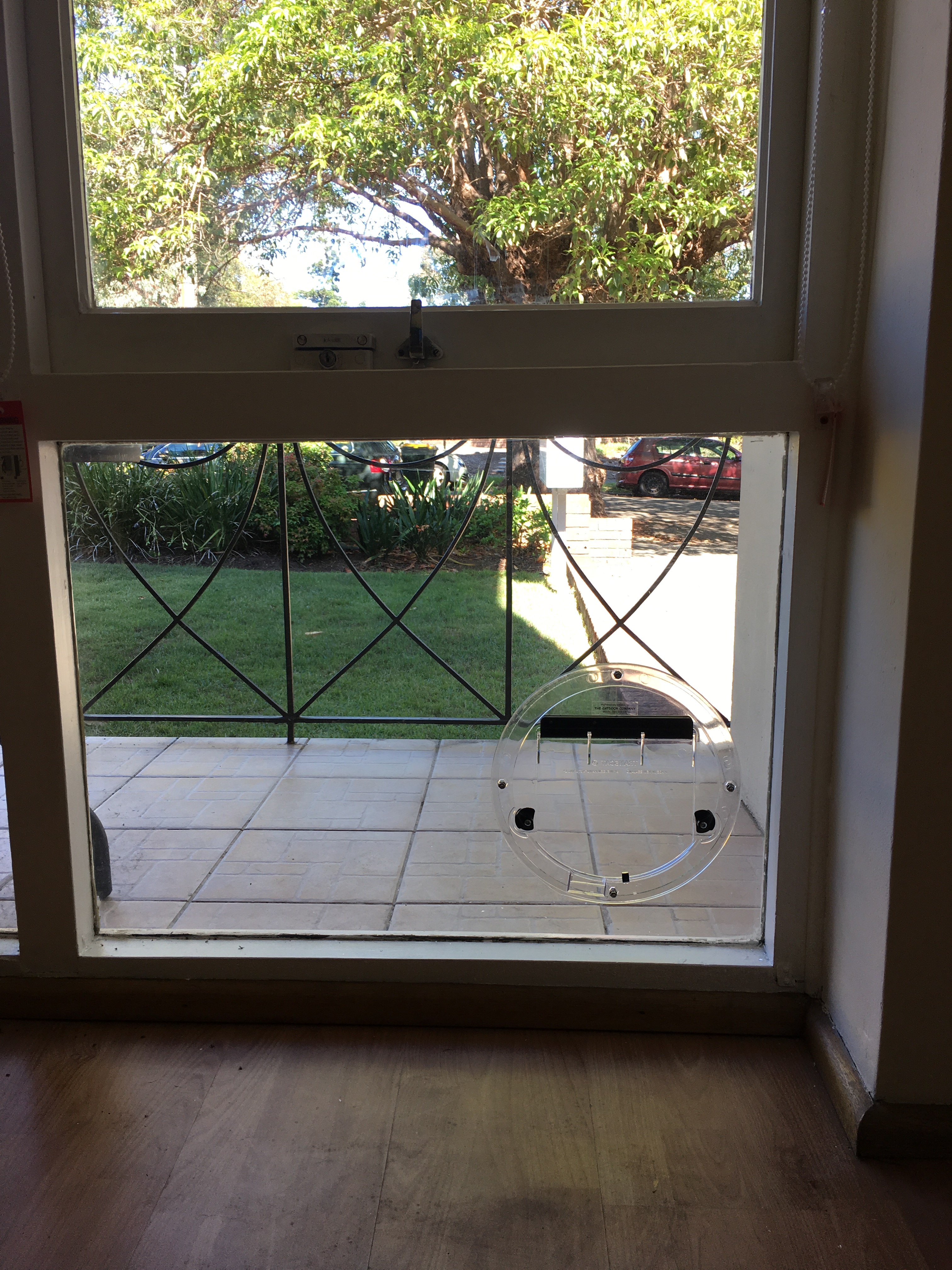 We specialise in installing cat doors in glass. With our expertise, we ensure seamless integration while maintaining the integrity of your glass surfaces.