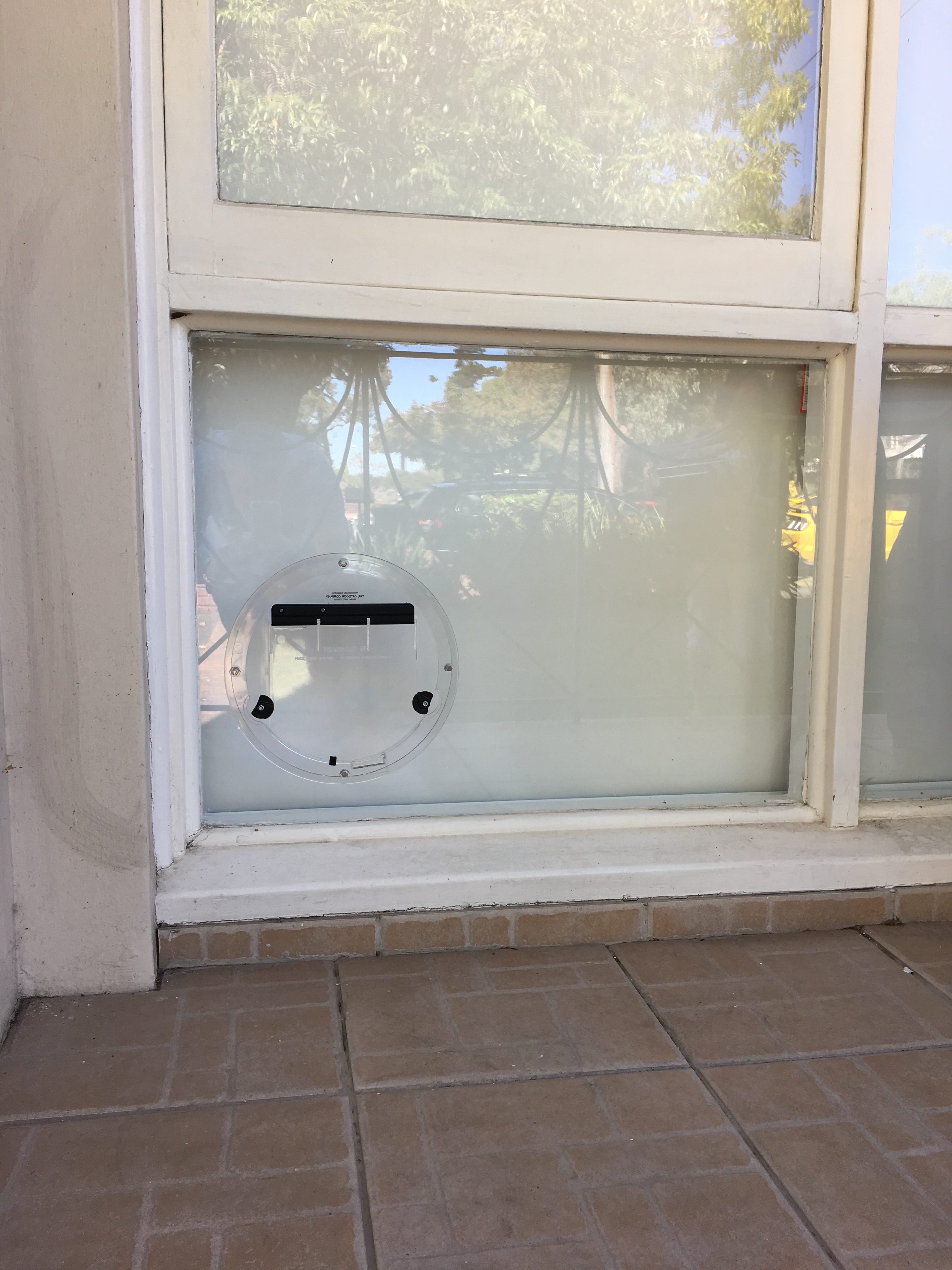 We specialise in installing cat doors in glass. With our expertise, we ensure seamless integration while maintaining the integrity of your glass surfaces.