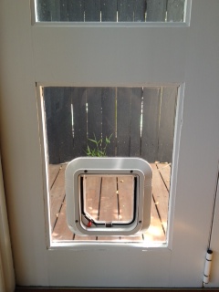 We specialise in installing cat doors in glass. With our expertise, we ensure seamless integration while maintaining the integrity of your glass surfaces.