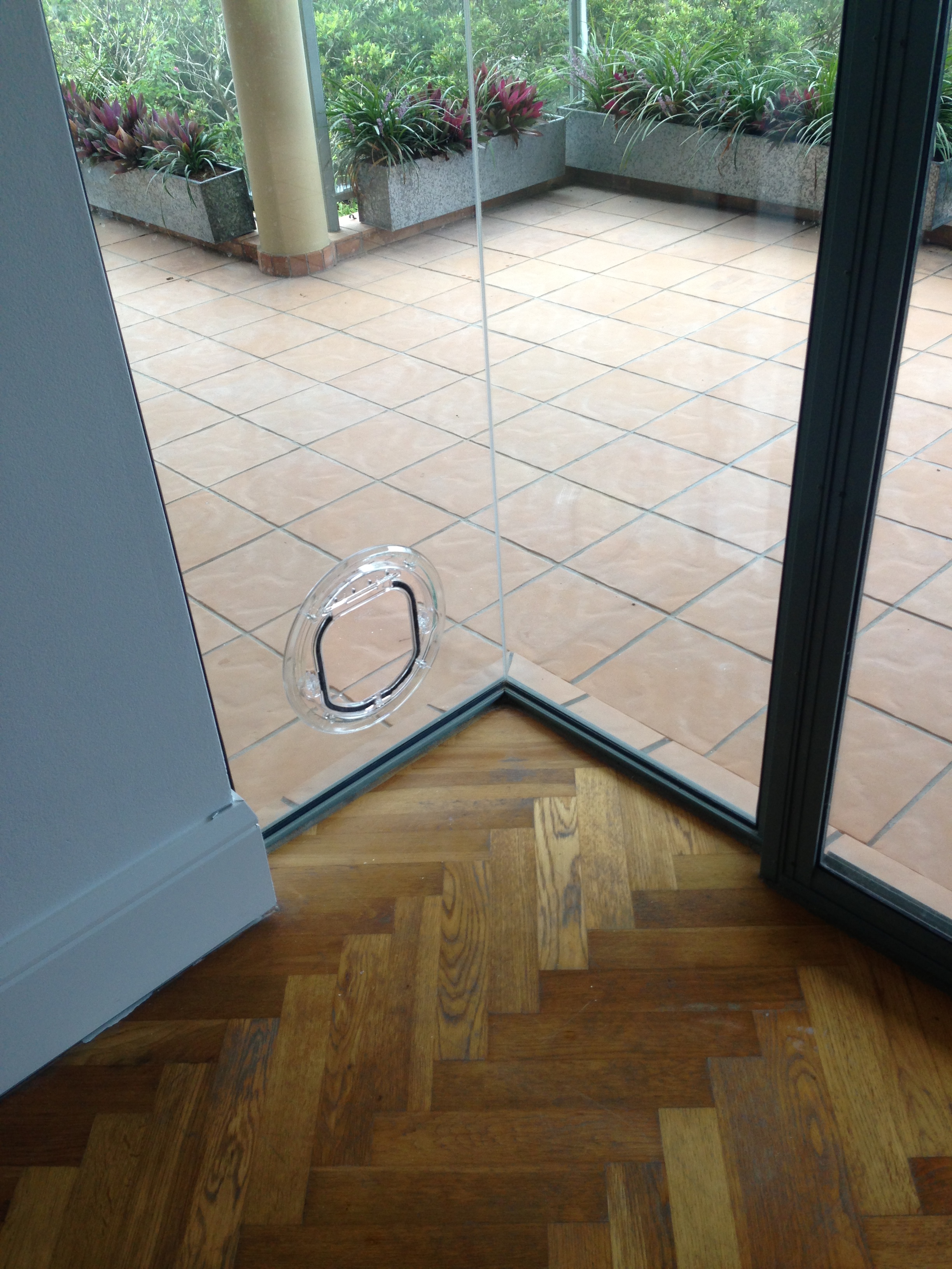 We specialise in installing cat doors in glass. With our expertise, we ensure seamless integration while maintaining the integrity of your glass surfaces.