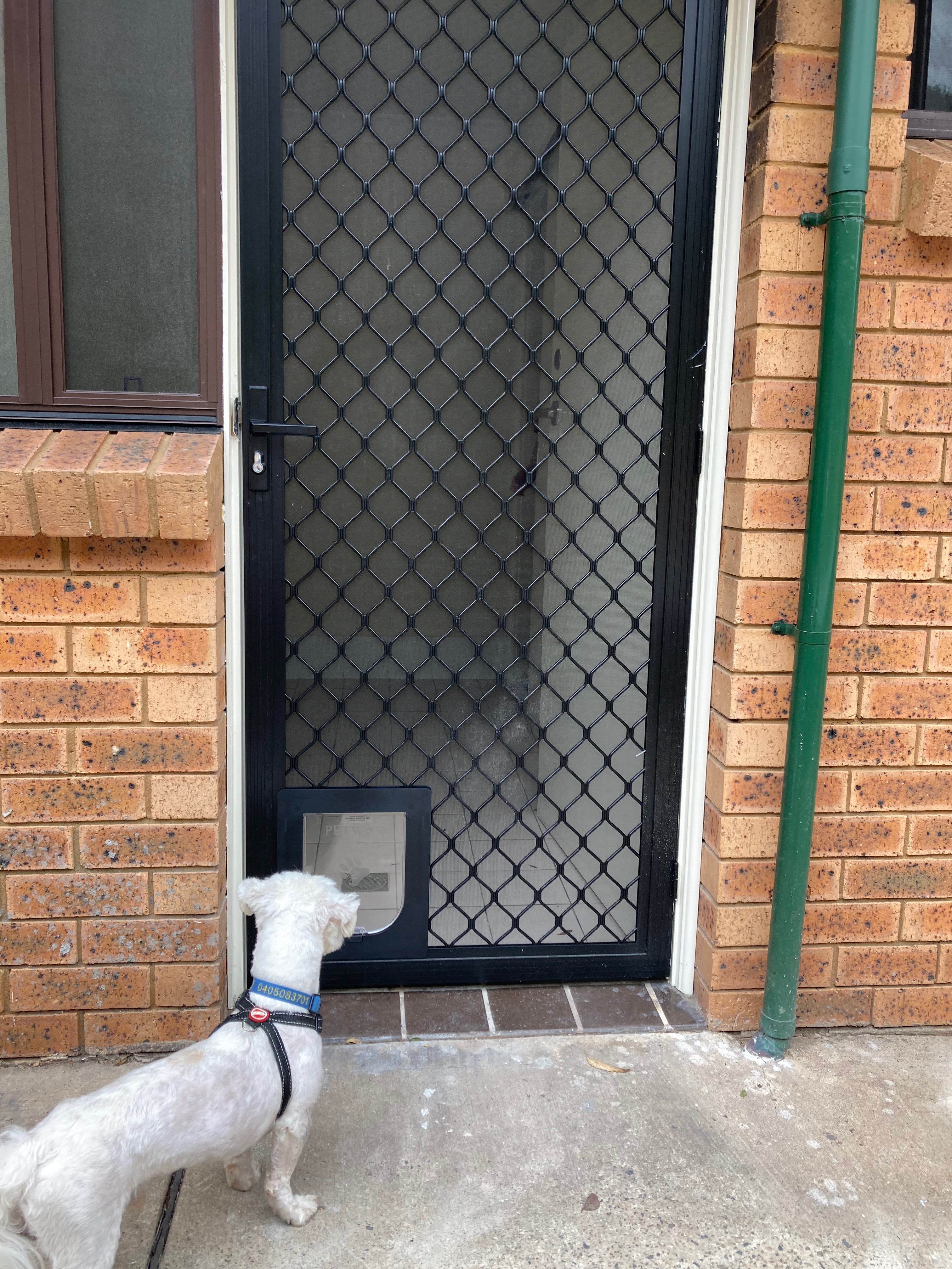 Allow your small dog to come and go as they please with our small dog door installation service in screen doors. We specialise in seamlessly integrating small dog doors into screen surfaces, providing convenient access for your furry friend while keeping insects and pests out.