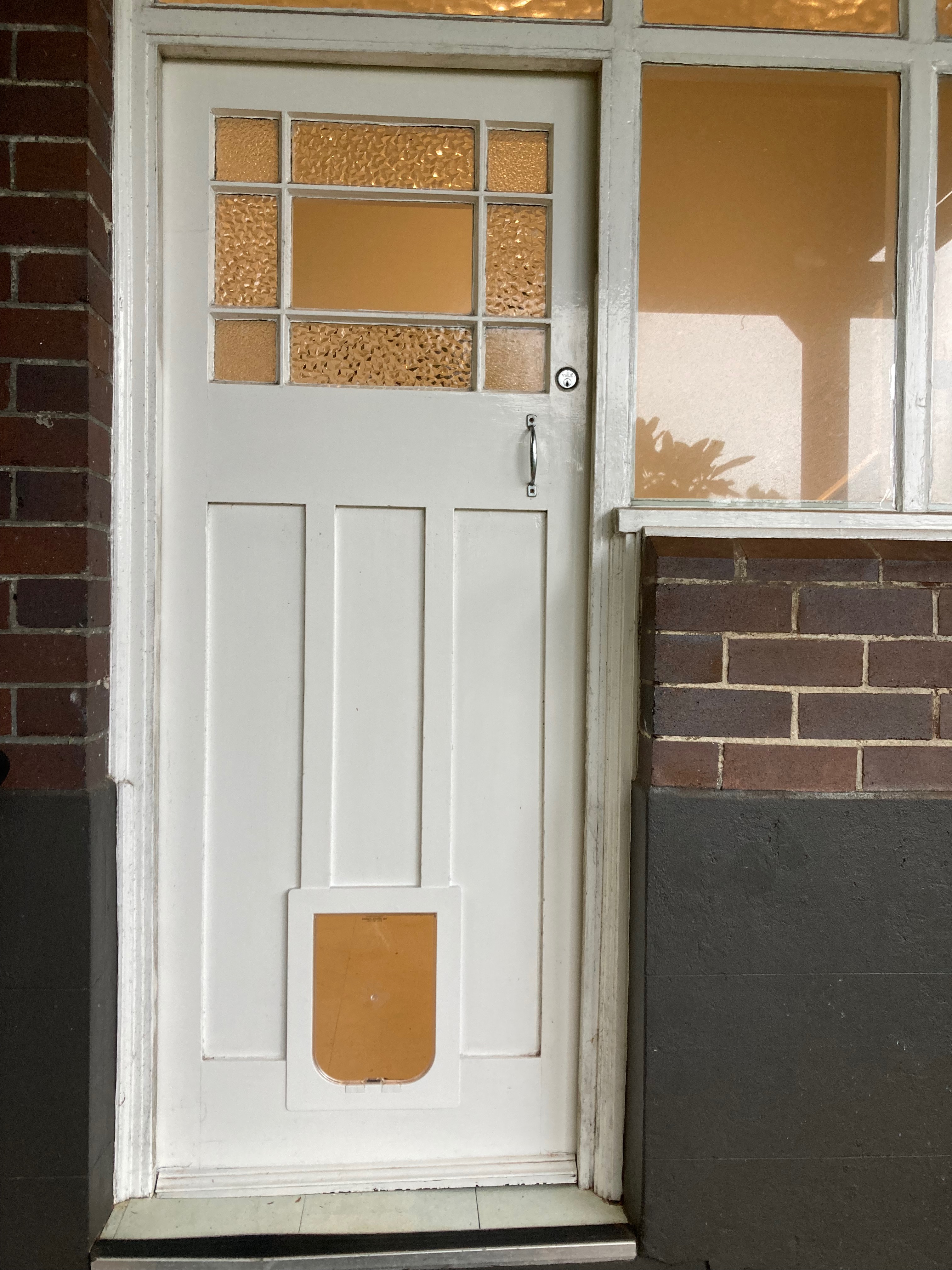 Provide your large canine companion with the freedom to move in and out of your home effortlessly with our large dog door installation service in timber. We specialise in seamlessly integrating large dog doors into timber surfaces, ensuring both durability and functionality.