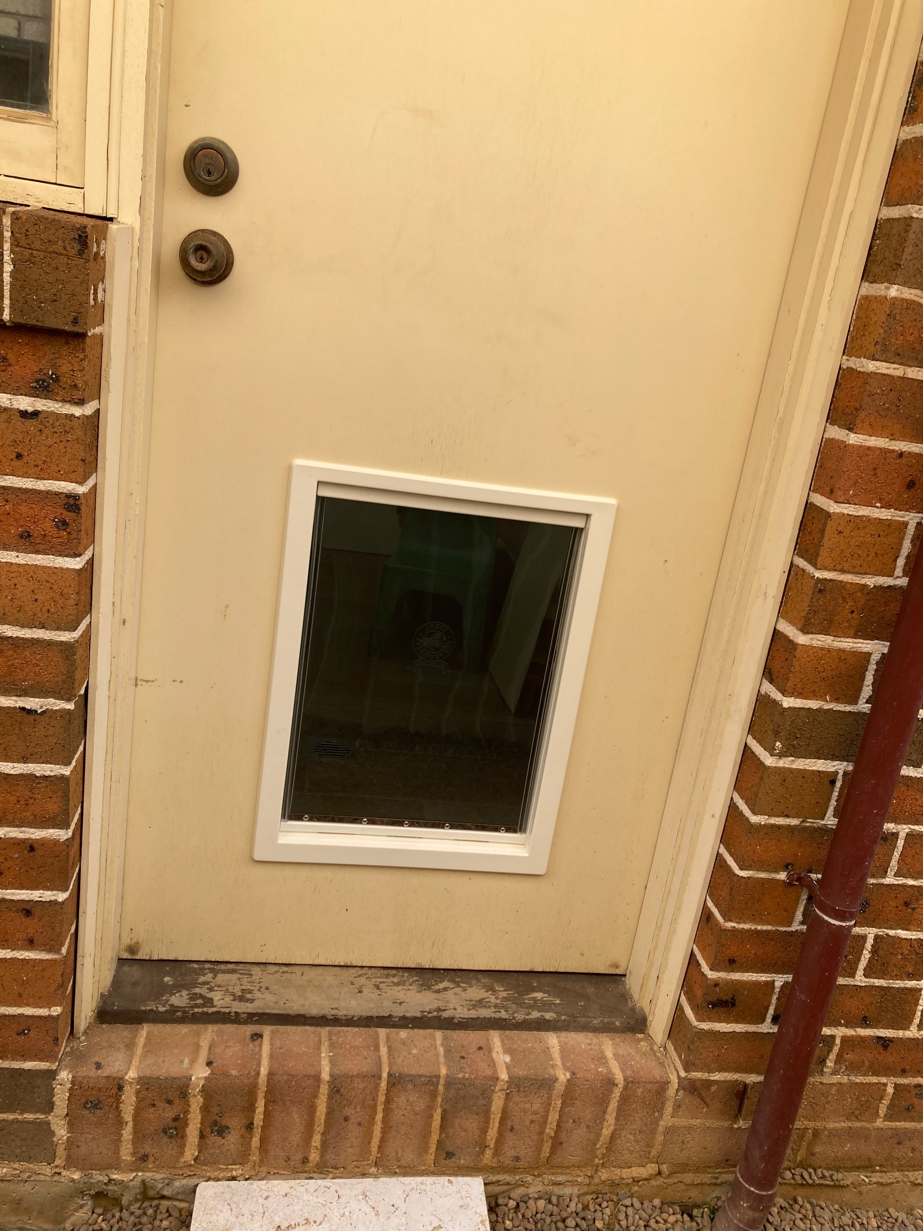 Provide your large canine companion with the freedom to move in and out of your home effortlessly with our large dog door installation service in timber. We specialise in seamlessly integrating large dog doors into timber surfaces, ensuring both durability and functionality.