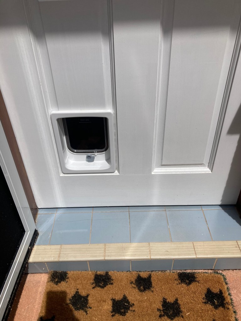 Give your small canine companion the freedom they deserve with our small dog door installation service in timber. We specialise in seamlessly integrating small dog doors into timber surfaces, providing easy access for your furry friend while maintaining the aesthetic appeal of your home.