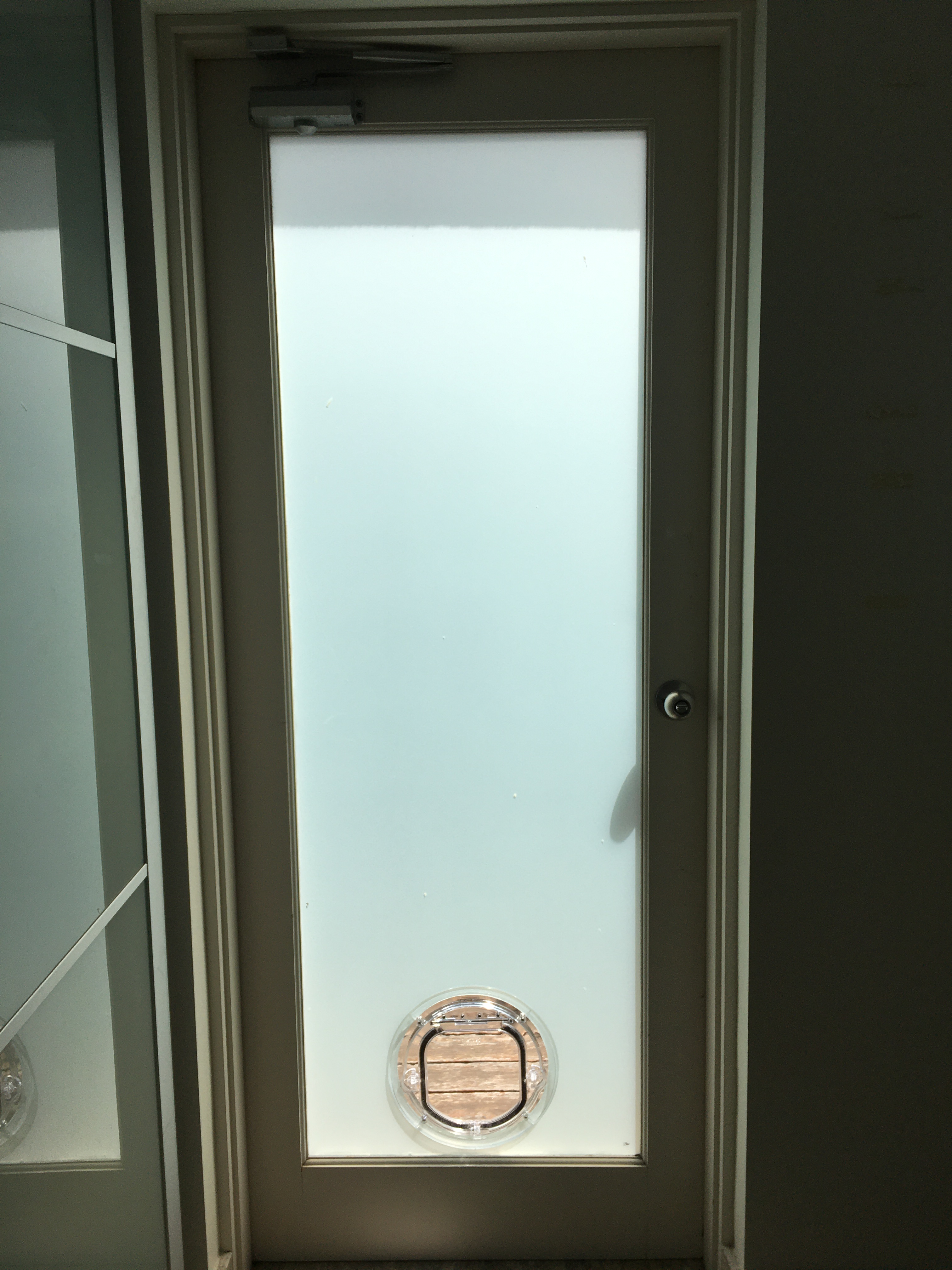 Provide your small canine companion with easy access to the outdoors while maintaining the sleek appearance of your glass surfaces with our small dog door installation service in glass. We specialise in seamlessly integrating small dog doors into glass panels, ensuring a secure and durable entry point for your furry friend.