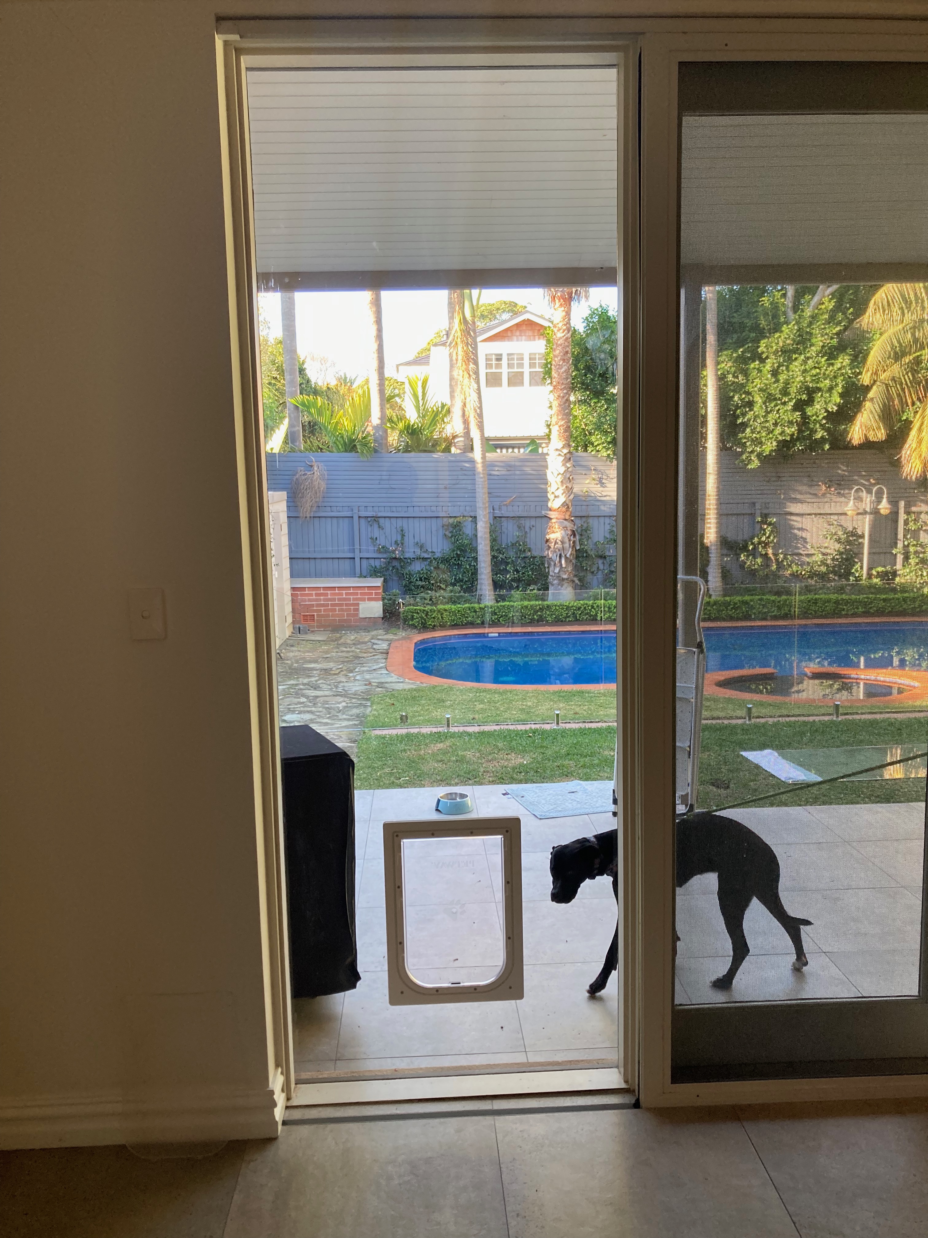 Let your large canine companion come and go as they please with our large dog door installation service in glass. We specialise in seamlessly integrating large dog doors into glass panels, ensuring a secure and durable entry point for your furry friend.