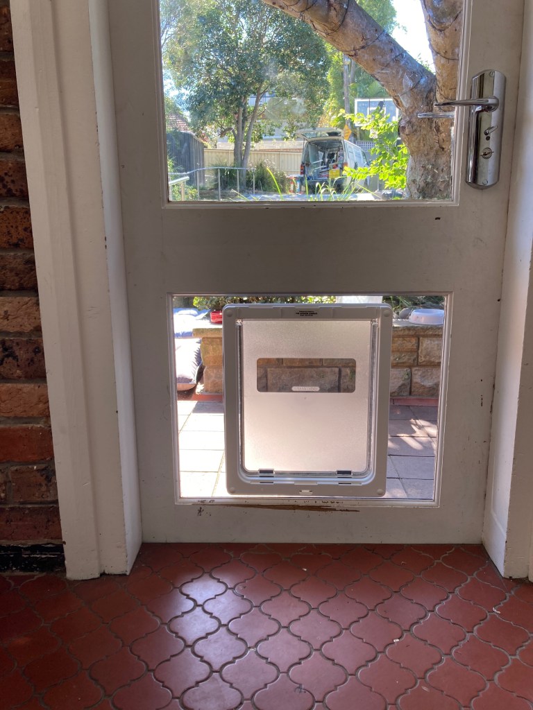 Let your large canine companion come and go as they please with our large dog door installation service in glass. We specialise in seamlessly integrating large dog doors into glass panels, ensuring a secure and durable entry point for your furry friend.