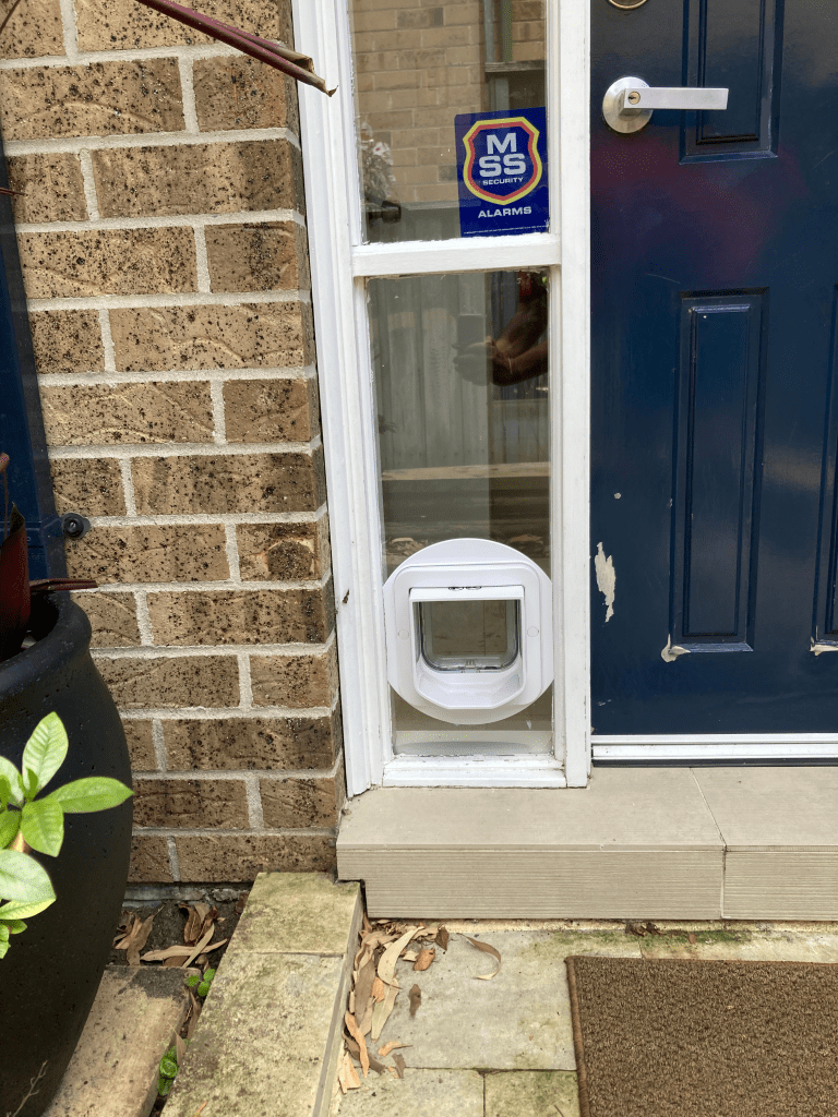 Experience the ultimate in pet convenience and security with our microchip pet doors. We offer advanced pet door solutions equipped with microchip technology, allowing only authorized pets to enter and exit your home. Say goodbye to unwanted visitors and enjoy peace of mind knowing that your furry companion can freely access the outdoors while keeping intruders at bay.