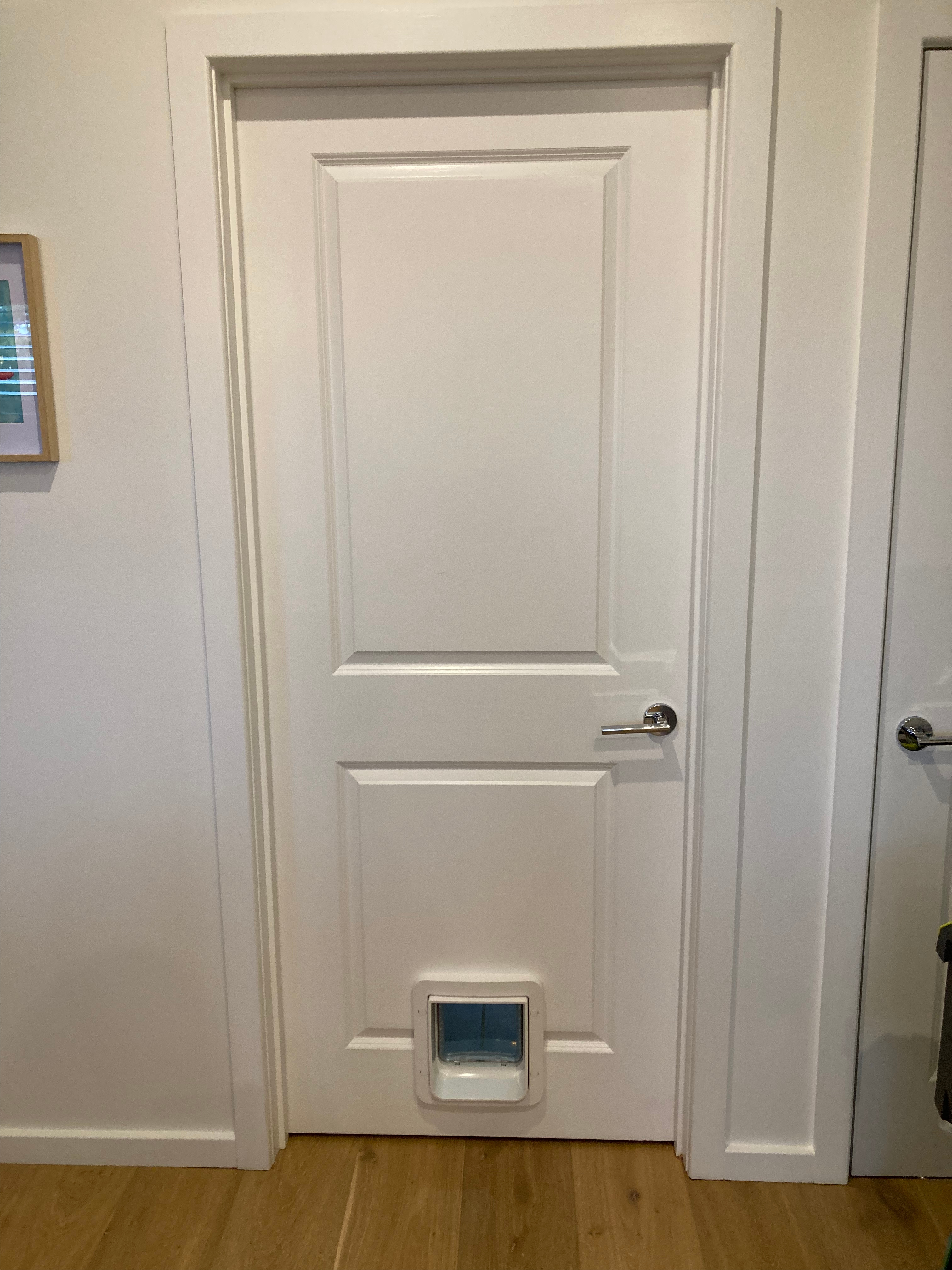 Experience the ultimate in pet convenience and security with our microchip pet doors. We offer advanced pet door solutions equipped with microchip technology, allowing only authorized pets to enter and exit your home. Say goodbye to unwanted visitors and enjoy peace of mind knowing that your furry companion can freely access the outdoors while keeping intruders at bay.