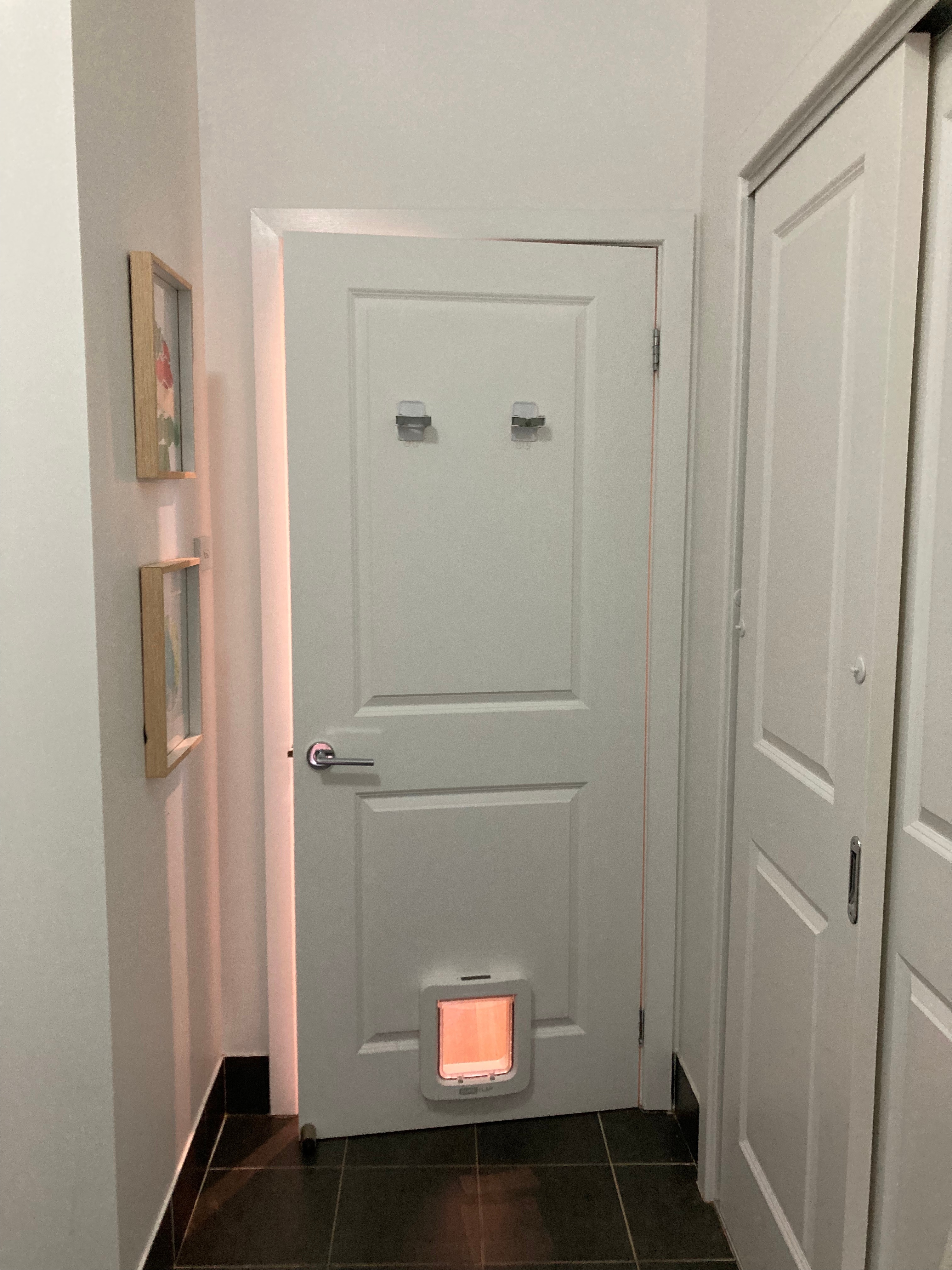 Experience the ultimate in pet convenience and security with our microchip pet doors. We offer advanced pet door solutions equipped with microchip technology, allowing only authorized pets to enter and exit your home. Say goodbye to unwanted visitors and enjoy peace of mind knowing that your furry companion can freely access the outdoors while keeping intruders at bay.