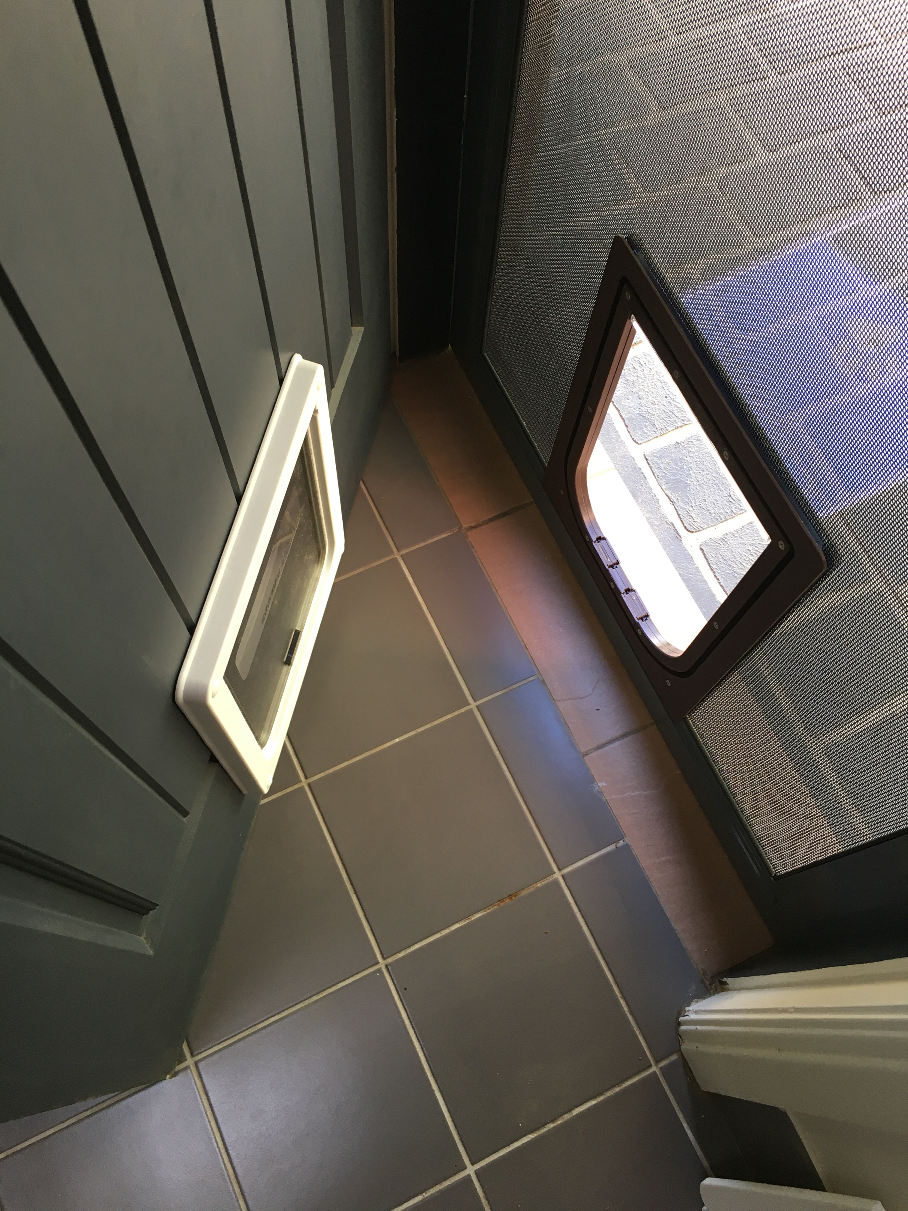 Give your medium-sized dog the freedom to roam with our medium dog door installation service in timber. We specialise in seamlessly integrating medium dog doors into timber surfaces, providing easy access for your canine companion while preserving the natural beauty of your home.