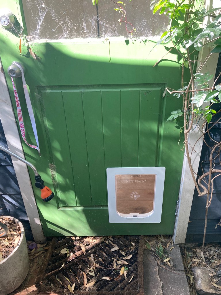 Give your medium-sized dog the freedom to roam with our medium dog door installation service in timber. We specialise in seamlessly integrating medium dog doors into timber surfaces, providing easy access for your canine companion while preserving the natural beauty of your home.