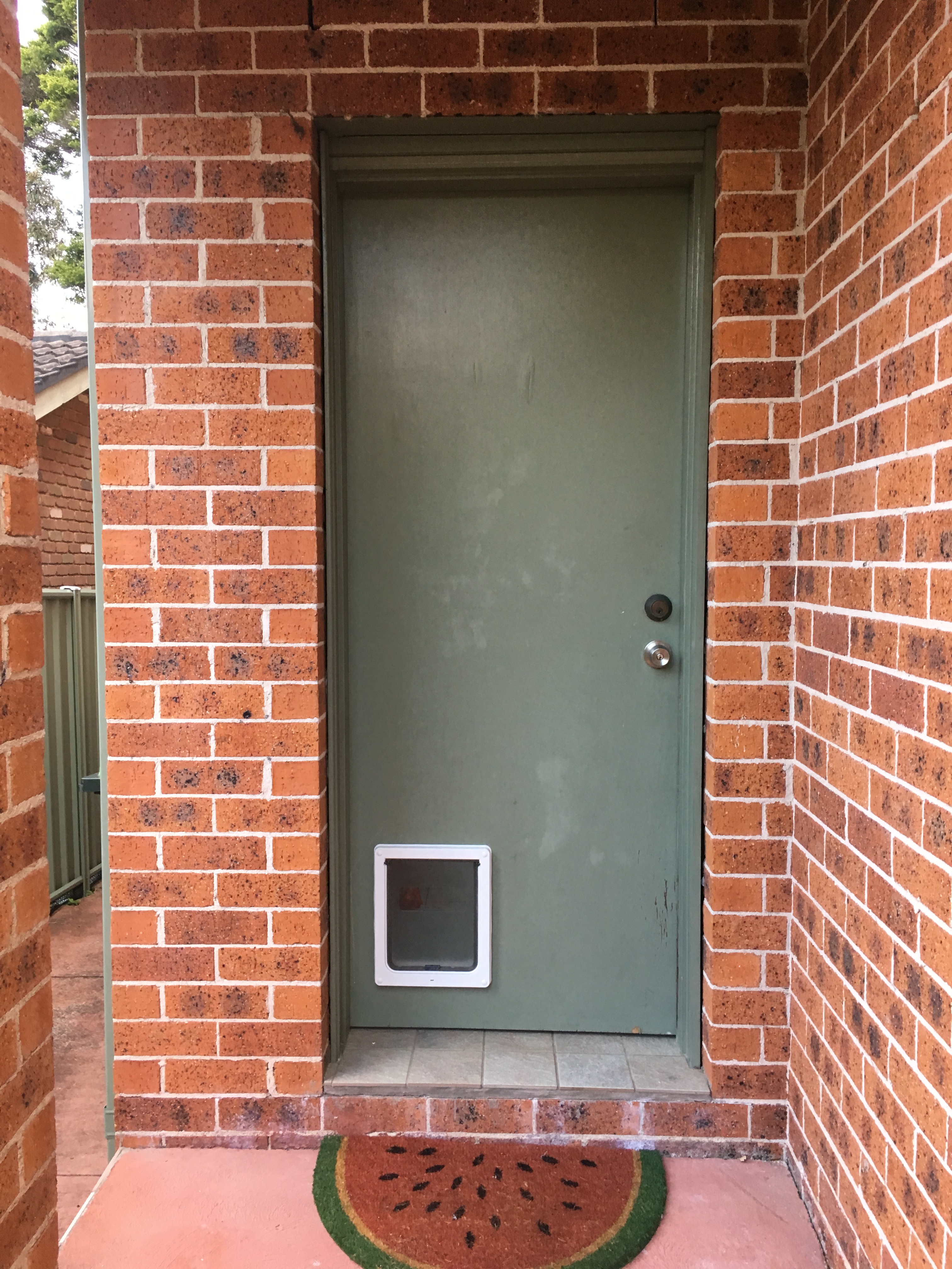 Give your medium-sized dog the freedom to roam with our medium dog door installation service in timber. We specialise in seamlessly integrating medium dog doors into timber surfaces, providing easy access for your canine companion while preserving the natural beauty of your home.